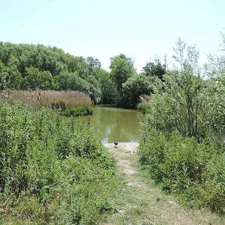 Florivan Comfortable Feriehus Oostende