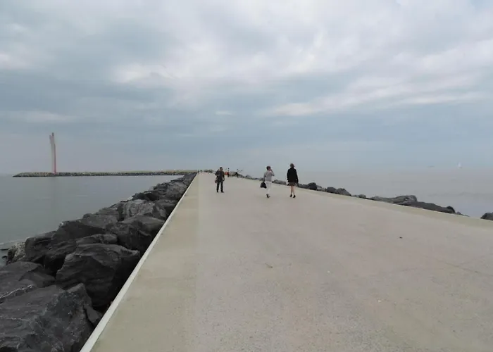 Florivan Comfortable *