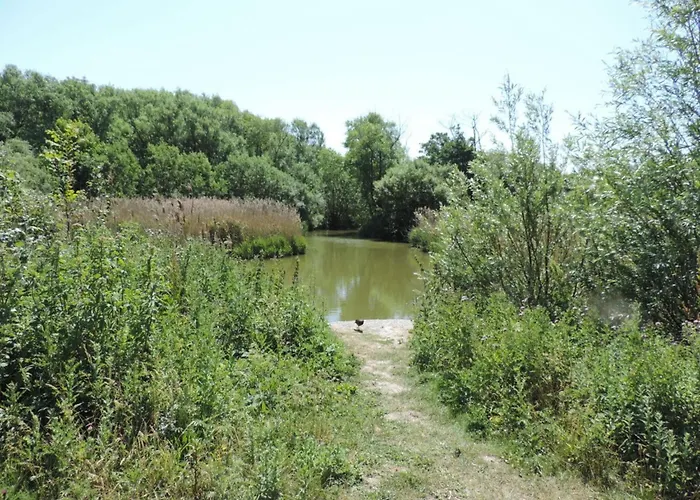 펜션 Florivan Comfortable *